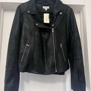 NWT Evereve Marren Moto Jacket